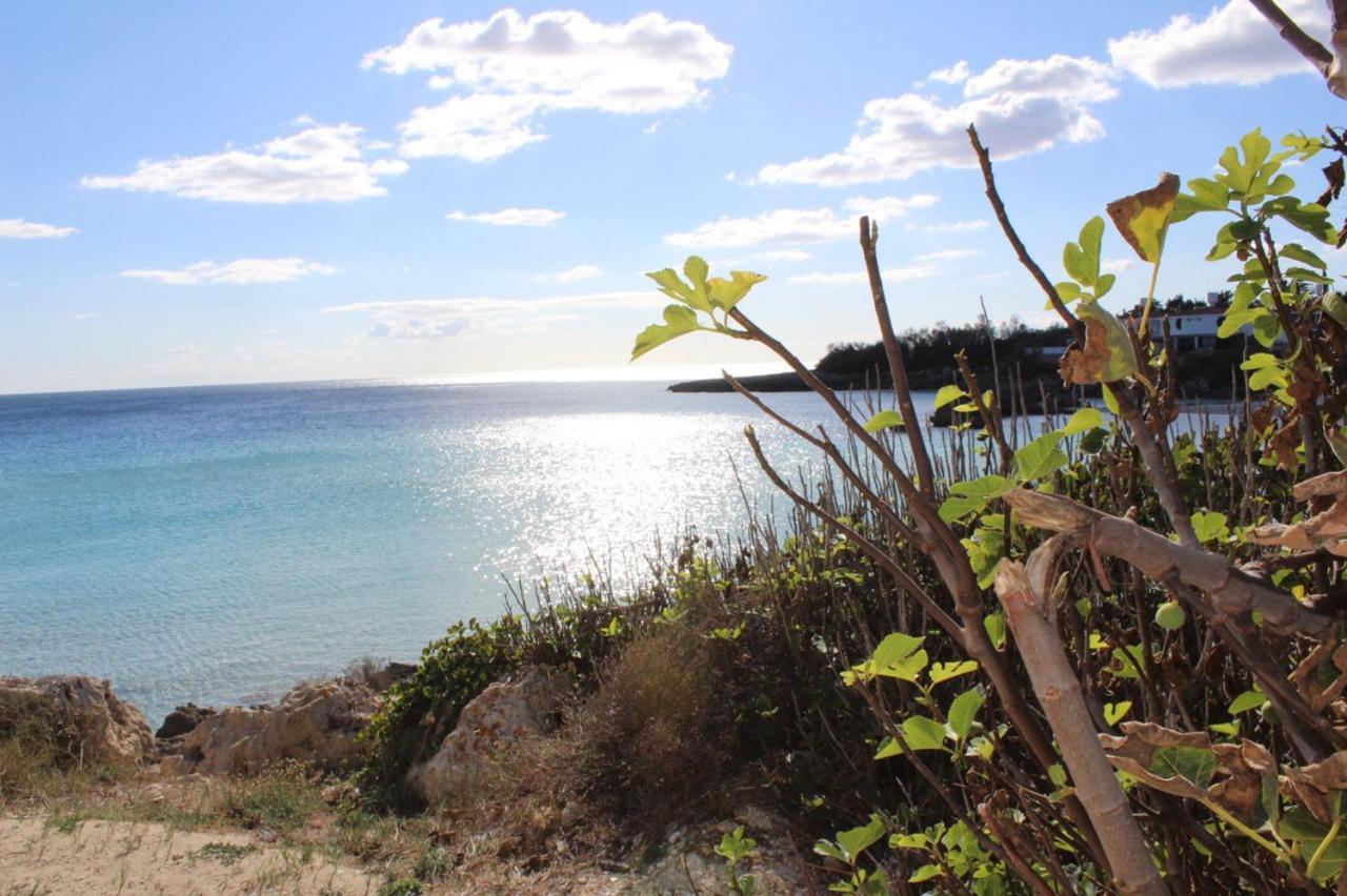 Casa Mita Bed & Breakfast Pulsano Bagian luar foto