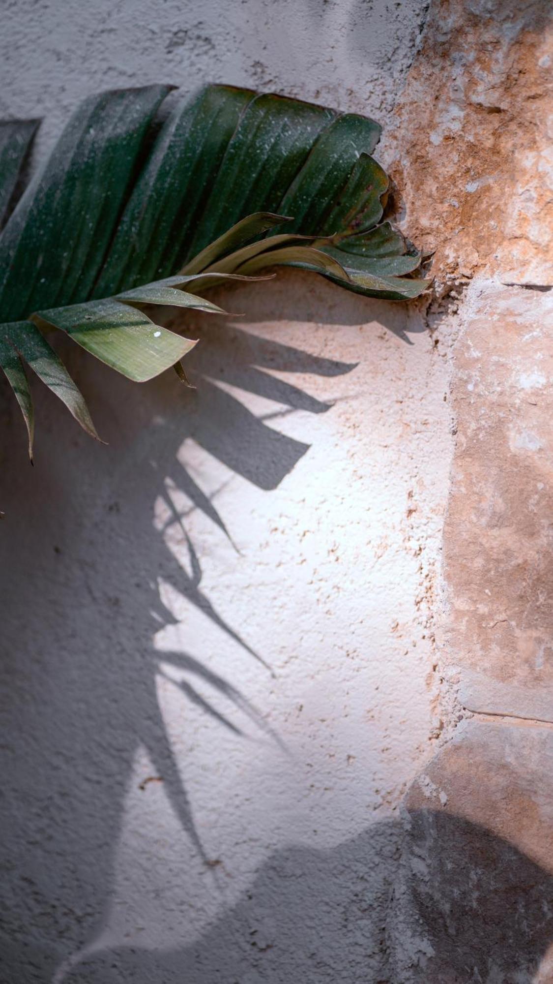 Casa Mita Bed & Breakfast Pulsano Bagian luar foto